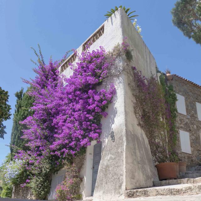 Grimaud Village Historique Var (14)