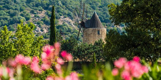 Moulin Saint Roch Grimaud Var (7)