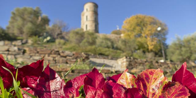 Automne Grimaud Var Provence (13)