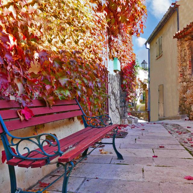Automne Grimaud Var Provence (3)