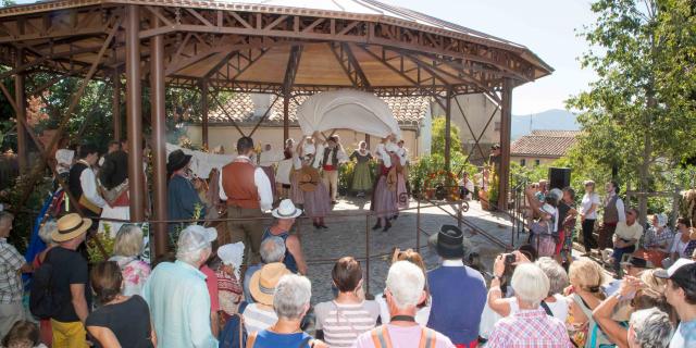 Fete Saint Michel Grimaud Provence (20)
