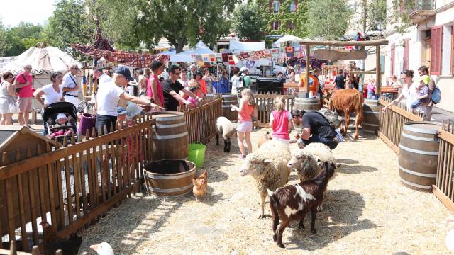 Foire De La Laine Grimaud Provence (4)