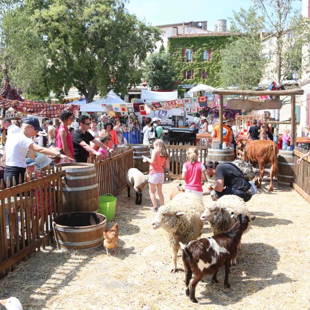 Foire De La Laine Grimaud Provence (4)