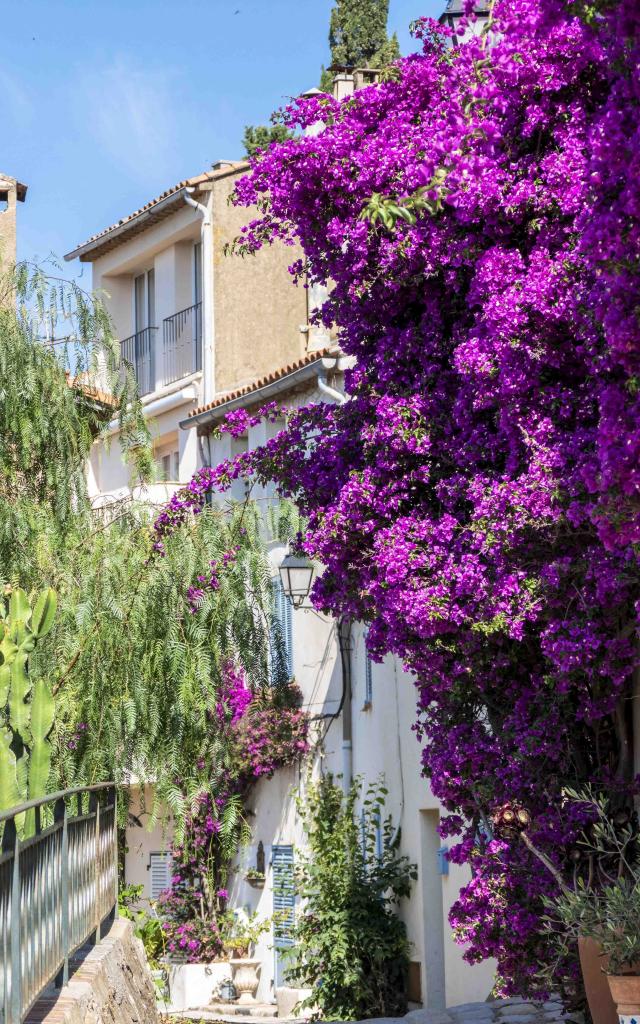 Grimaud Village Historique Var (38)