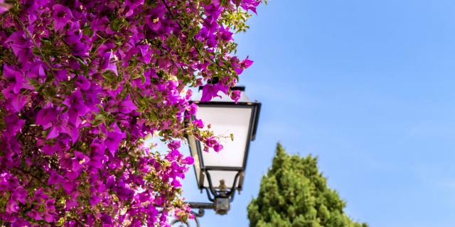 Grimaud Village Historique Var (50)