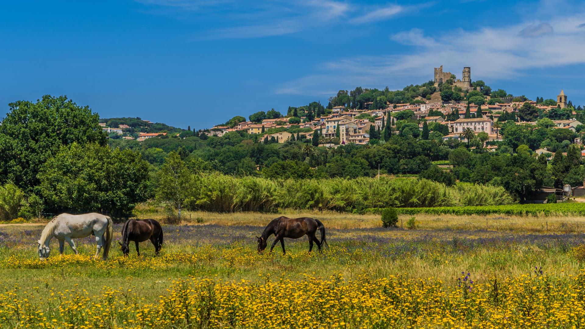 Grimaud village historique