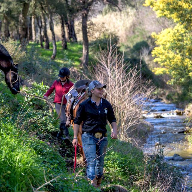 Massif Des Maures Grimaud Var Provence (24)