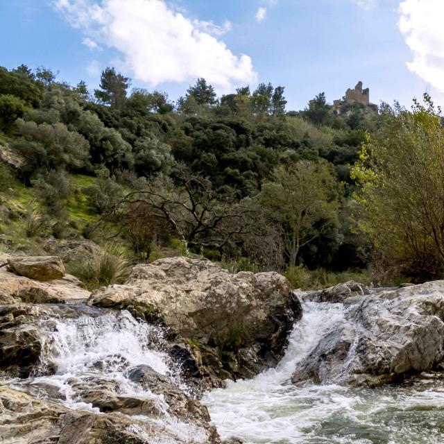 Massif Des Maures Grimaud Var Provence (30)