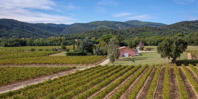 Vignoble Provence Grimaud Var (20)