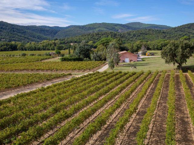 Vignoble Provence Grimaud Var (20)