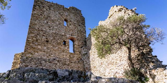 Chateau De Grimaud Var (15)