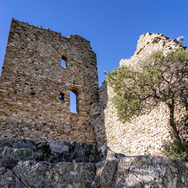 Chateau De Grimaud Var (15)