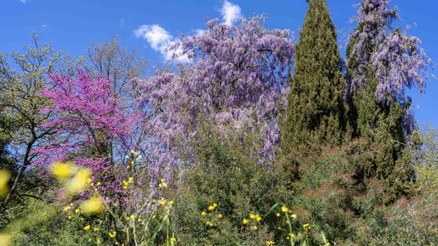 Massif Des Maures Grimaud Var Provence (39)