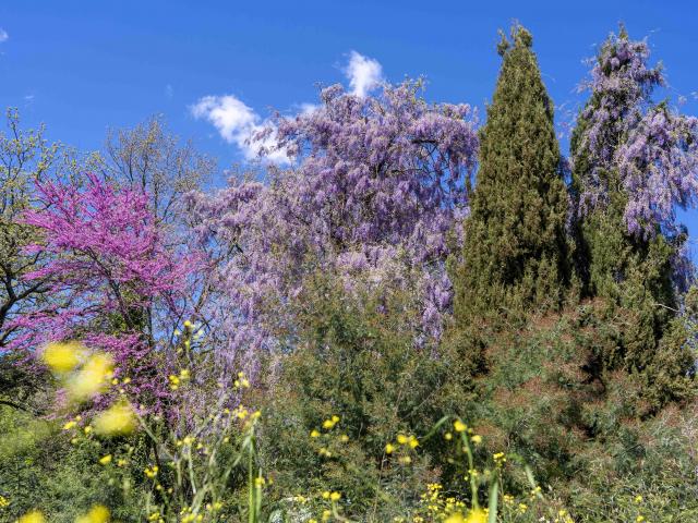 Massif Des Maures Grimaud Var Provence (39)