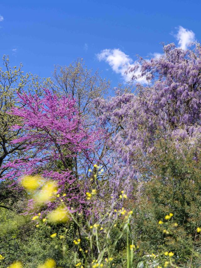 Massif Des Maures Grimaud Var Provence (39)