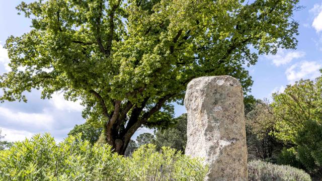 Menhirs En Provence Grimaud Var (6)