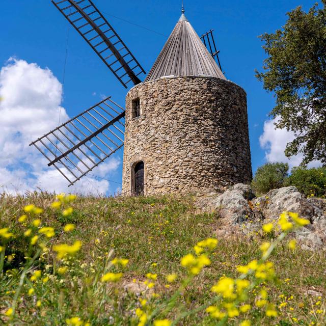 Moulin Saint Roch Grimaud Var (23)