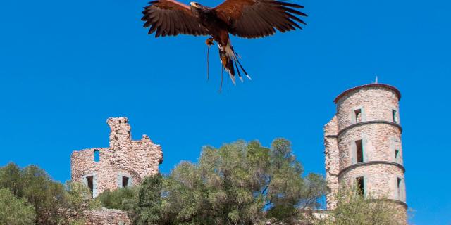 Les Medievales Grimaud (11)