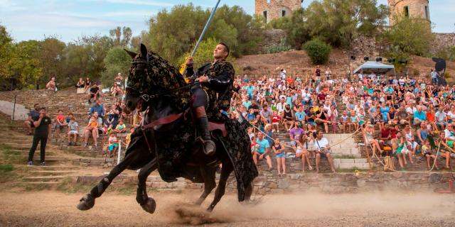 Les Medievales Grimaud (14)
