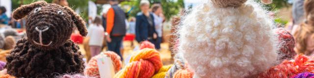Foire De La Laine Grimaud Provence 19