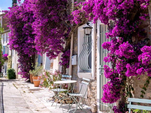 Grimaud Village Historique Var 79
