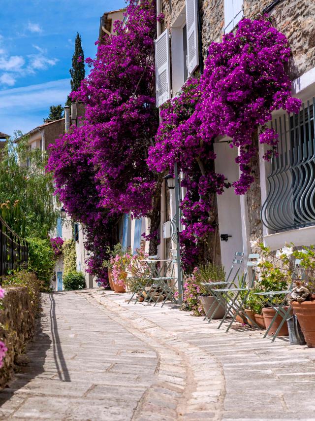 Grimaud Village Historique Var 85