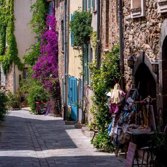 Grimaud Village Historique Var 86