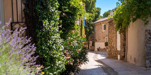 Grimaud Village Historique Var 91