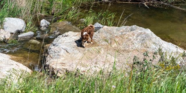 Pont Des Fees Grimaud Var 34
