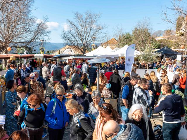 Week End Truffe Grimaud Var Provence 41