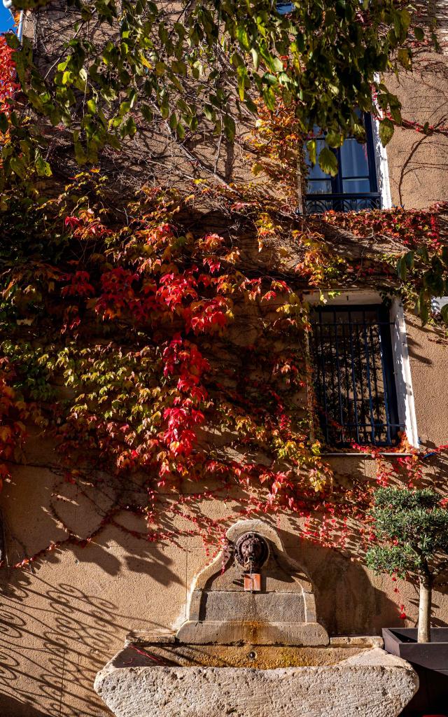Automne Grimaud Var Provence 29
