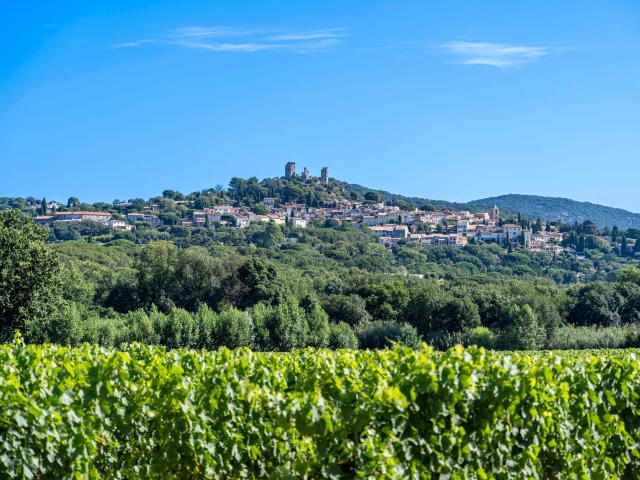 Chateau De Grimaud Var 18