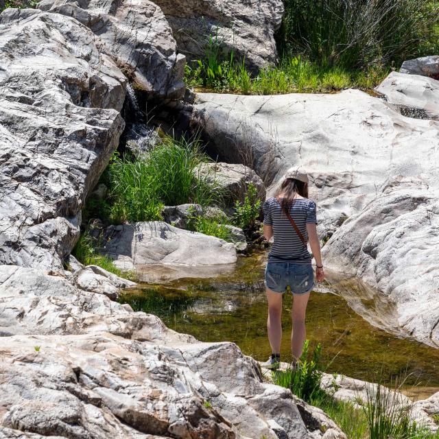 Pont Des Fees Grimaud Var 38