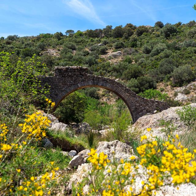 Pont Des Fees Grimaud Var 39