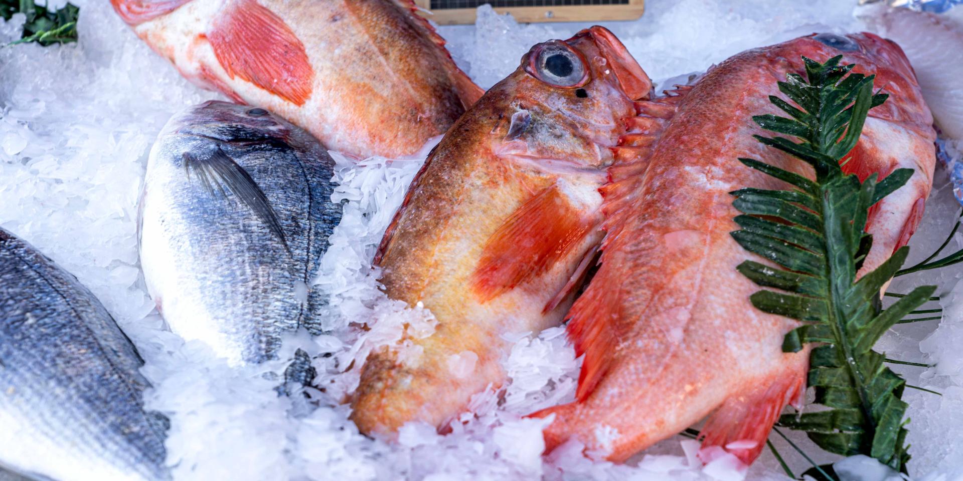 Poisson Frais Grimaud 1