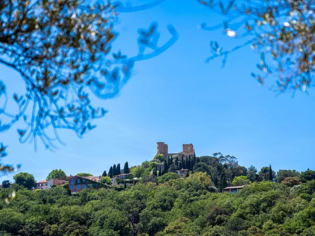 Chateau De Grimaud Var 34