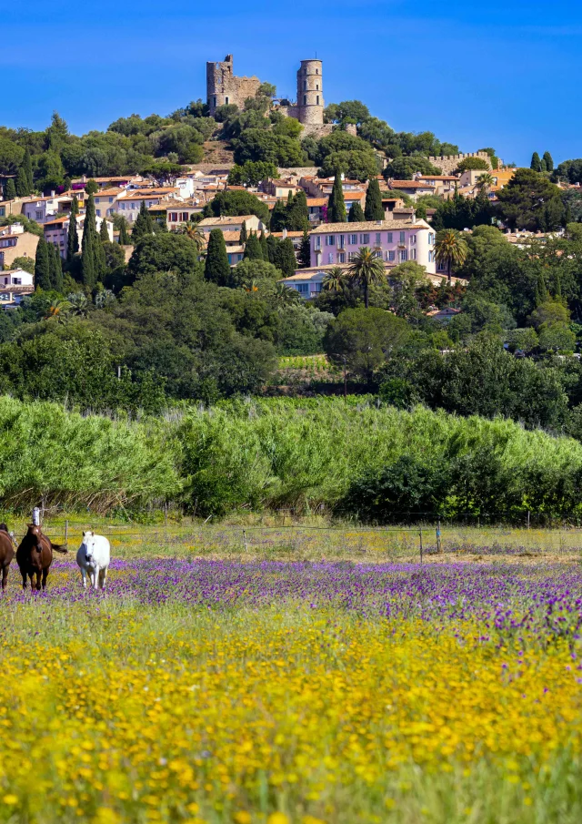 Grimaud Village Historique Var 113