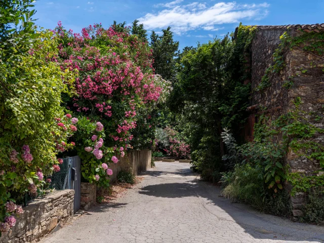 Hameau De Grimaud Var Provence 2