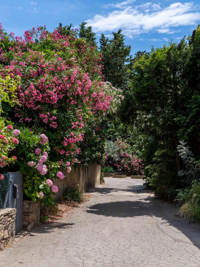 Hameau De Grimaud Var Provence 2