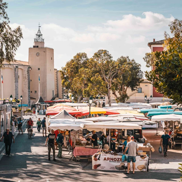 Marche Port Grimaud Cote D Azur 20