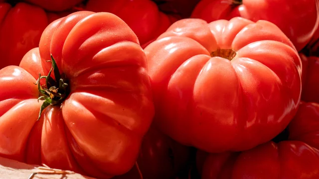 Marche Provence Grimaud Var 24 1