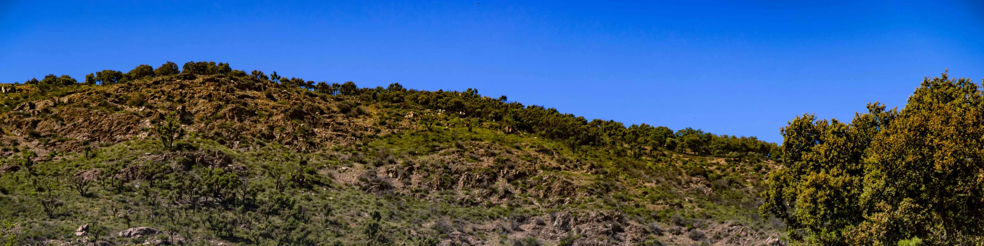 Massif Des Maures Grimaud Var Provence 50