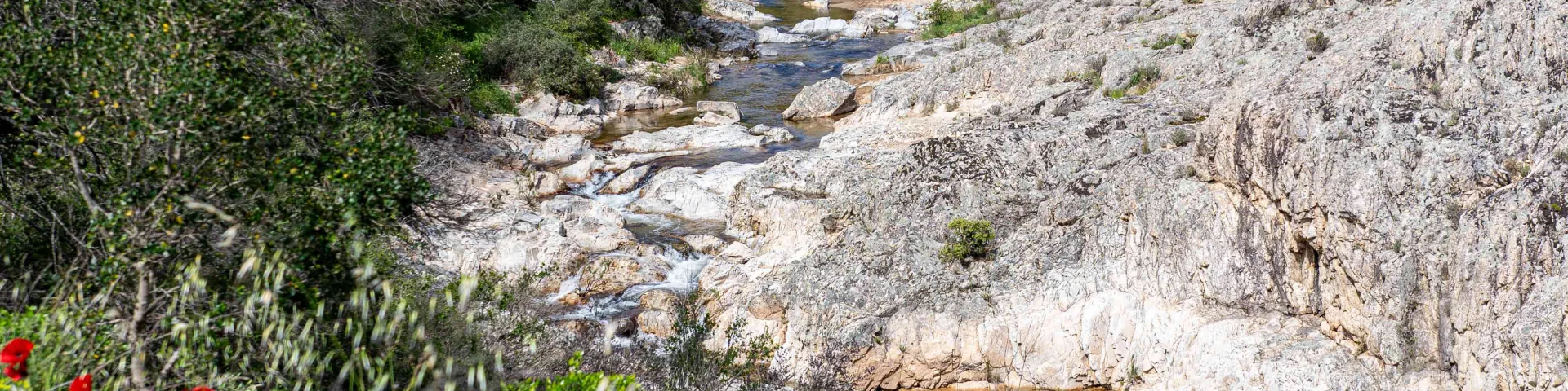 Massif Des Maures Grimaud Var Provence 54