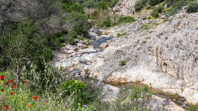 Massif Des Maures Grimaud Var Provence 54