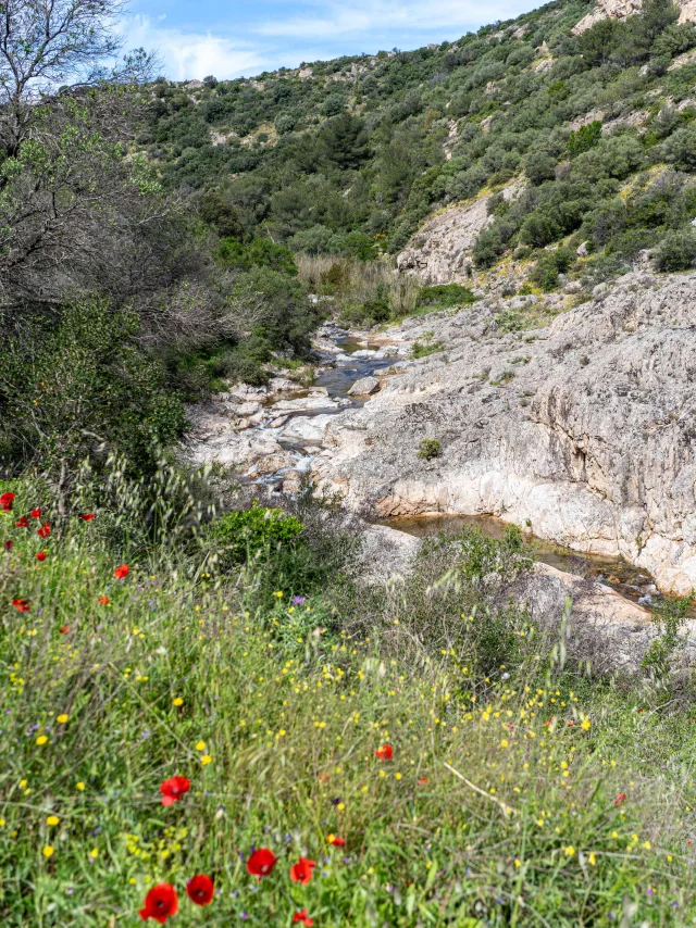 Massif Des Maures Grimaud Var Provence 54