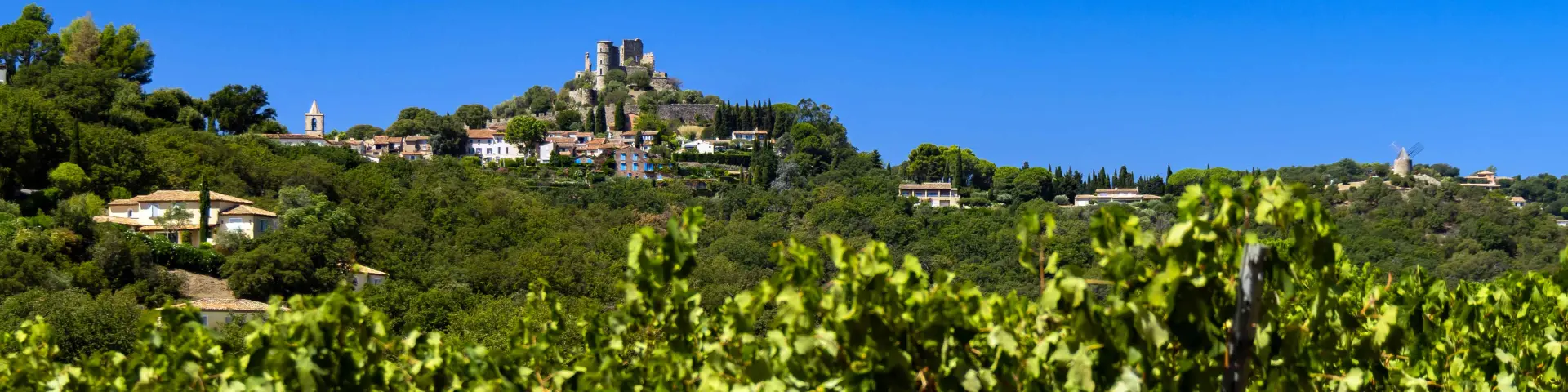 Vignoble Provence Grimaud Var 50