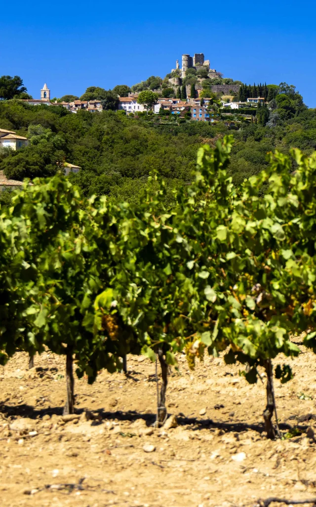Vignoble Provence Grimaud Var 50