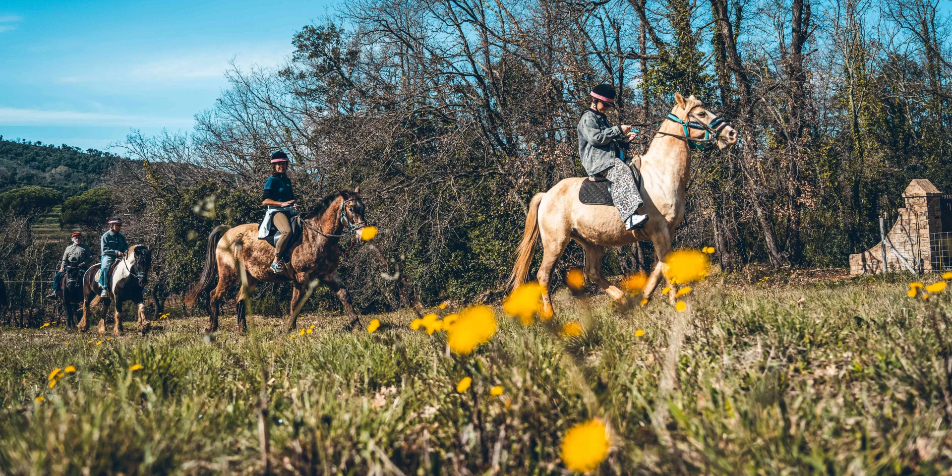 Balade Cheval Grimaud 11