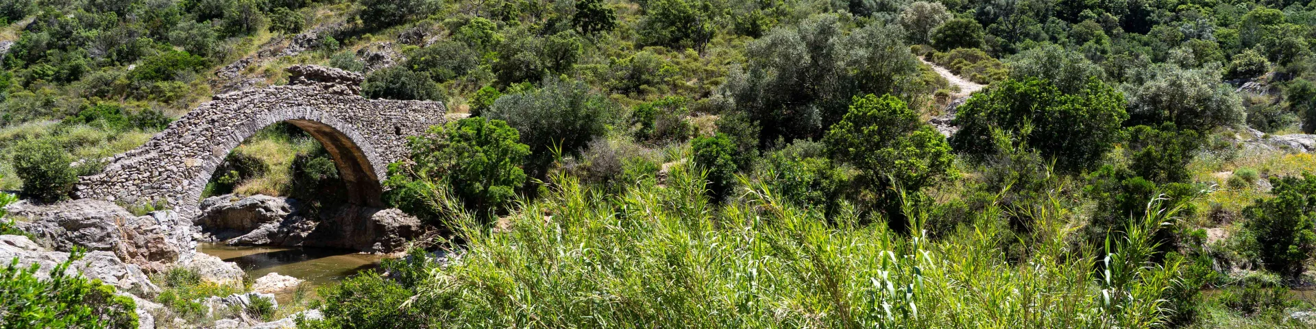 Pont Des Fees Grimaud Var 49