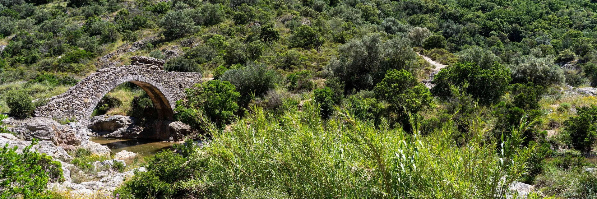 Pont Des Fees Grimaud Var 49
